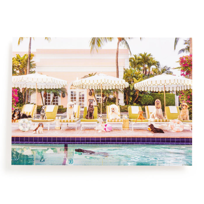 Enjoy playful Palm Beach vibes with the Gray Malin Pool Day Palm Beach 1000 Piece Book Box Puzzle, featuring dogs lounging by a pool on chairs with floats and towels, set before striped umbrellas and a pastel building surrounded by lush palms.