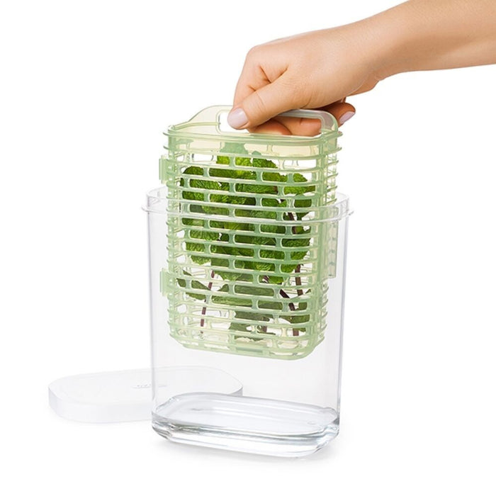 GreenSaver Herb Keeper - Small