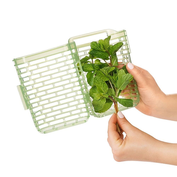 GreenSaver Herb Keeper - Small