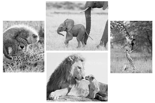 safari animal greeting cards