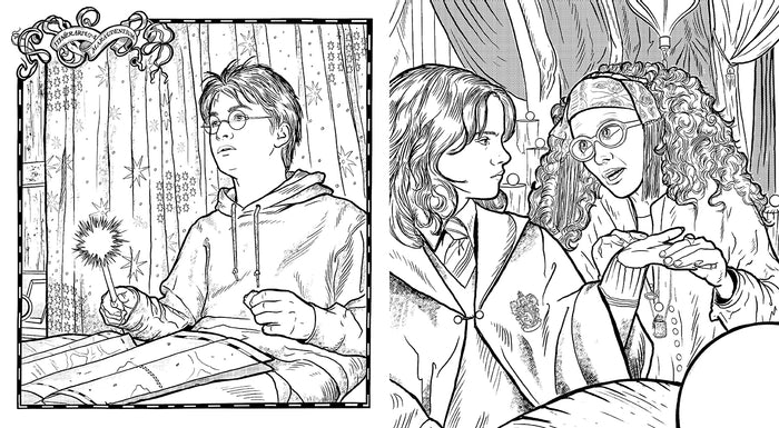 Harry Potter: Coloring Wizardry