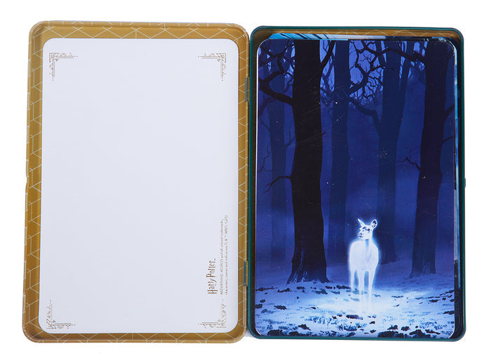 Harry Potter: Hogwarts Concept Art Postcard Tin Set