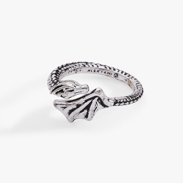 Antique Silver