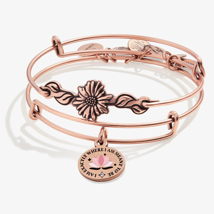 Rafaelian Rose Gold
