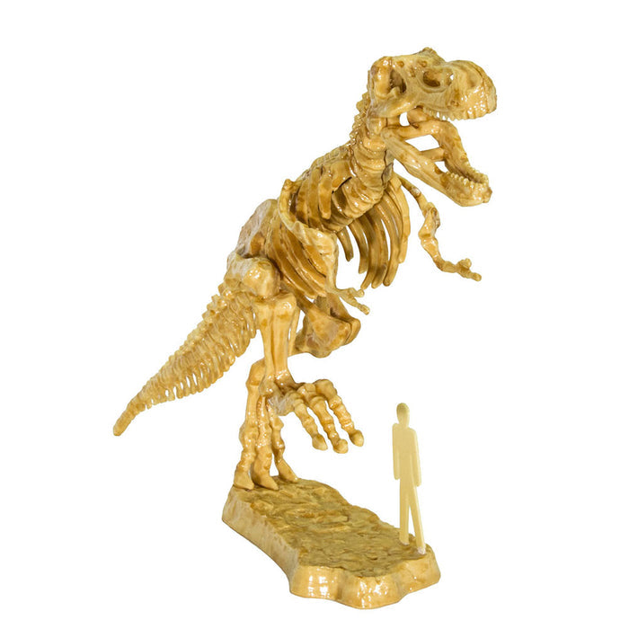 I Dig It! Dinos - 3D T. Rex Excavation Kit STEM Thames & Kosmos
