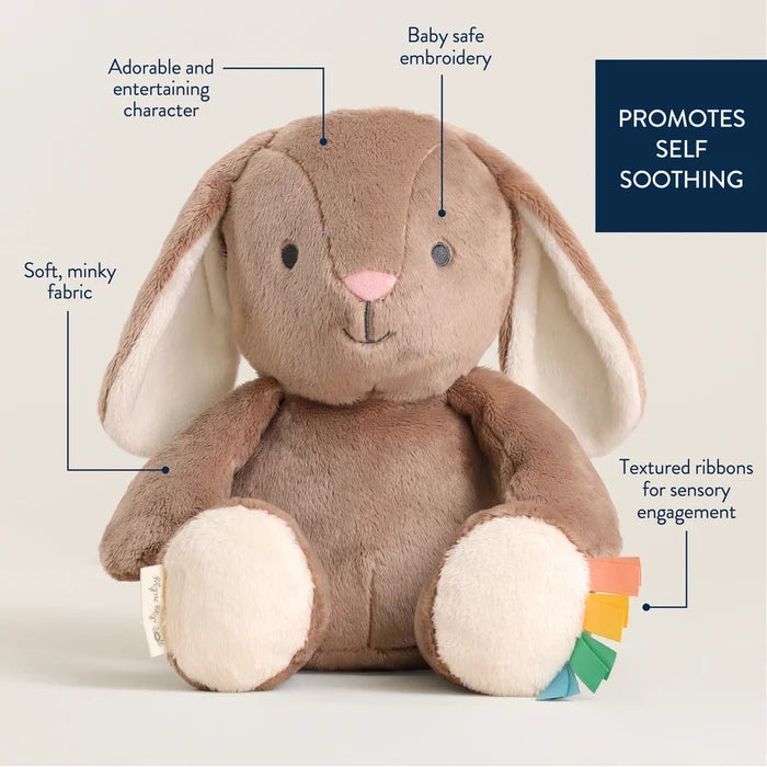 Itzy Ritzy Sweetie Snuggles™ Billy Taupe Bunny Plush Toy