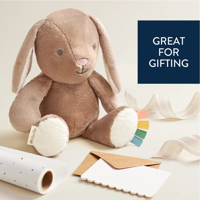 Itzy Ritzy Sweetie Snuggles™ Billy Taupe Bunny Plush Toy