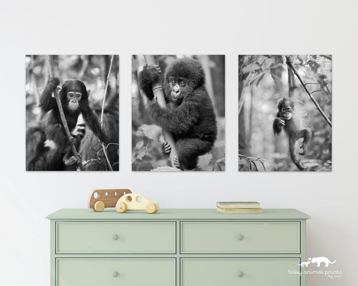 Jungle Baby Animals Photo Set (Black and White)