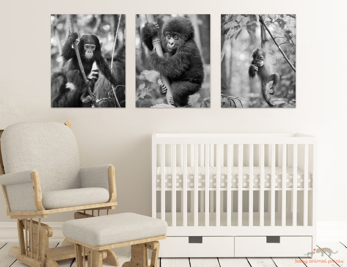 Jungle Baby Animals Photo Set (Black and White)