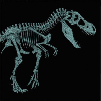 Jurassic Park Original Motion Picture Soundtrack (20th Anniversary – Version B)