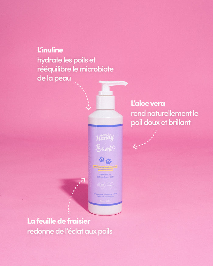 Master Pack Bandit : Shampoing + Peluches