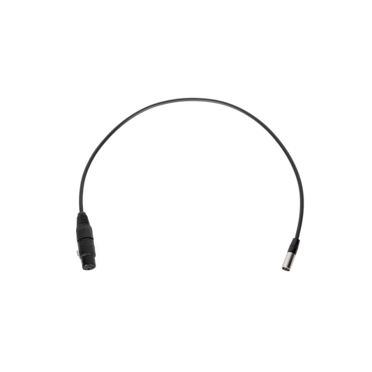 Mini 3pin XLR Male to Full 3pin XLR Female (20")