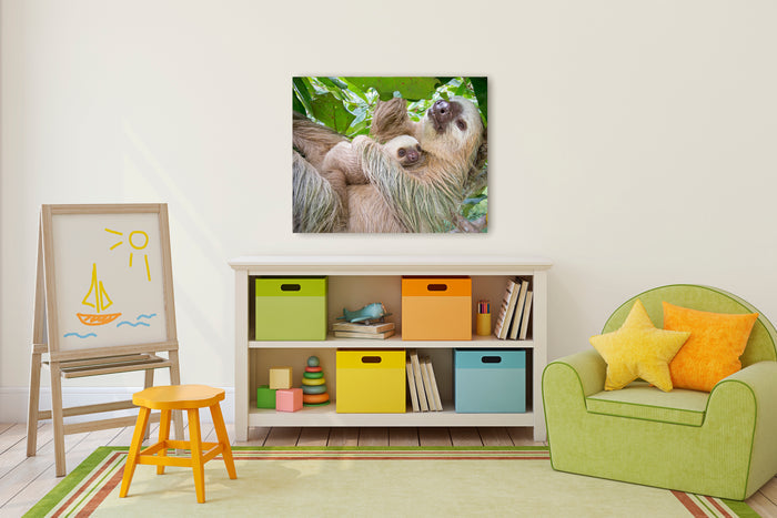 Mom and Baby Sloth Snuggling Photo
