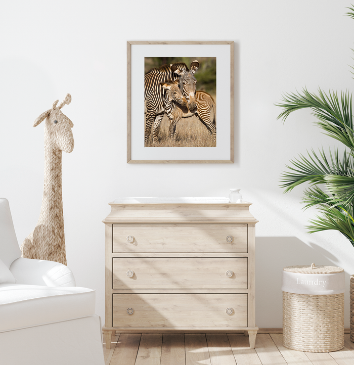 Mom and Baby Zebra Photo