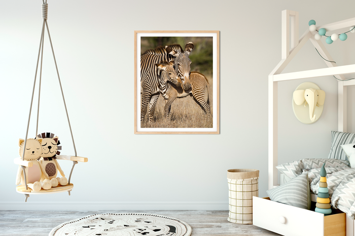 Mom and Baby Zebra Photo
