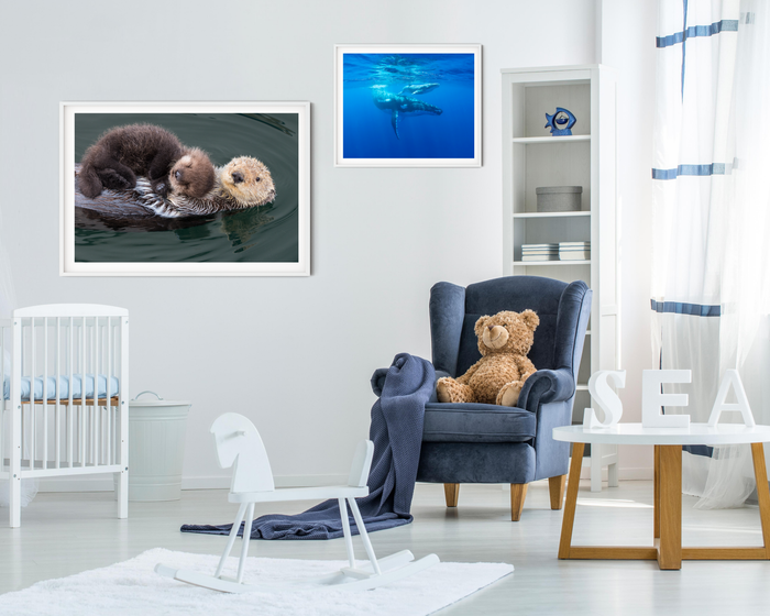 Mother and Baby Whale Photo
