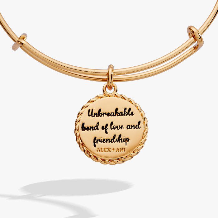 niece-BILY-charm-bangle-3-AO251180FSG