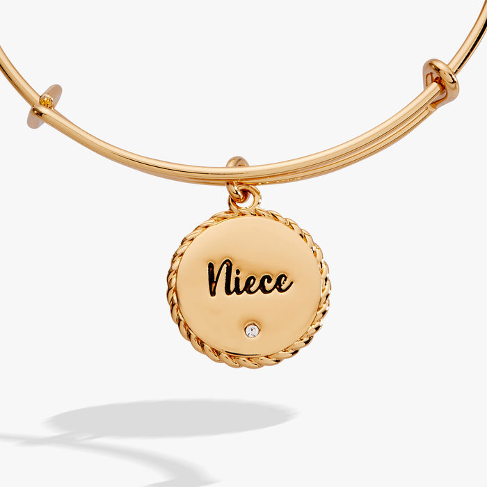 niece-BILY-charm-bangle-2-AO251180FSG