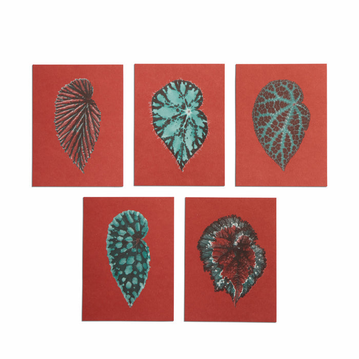 No. 12 Leaves of Friendship Small Print Set