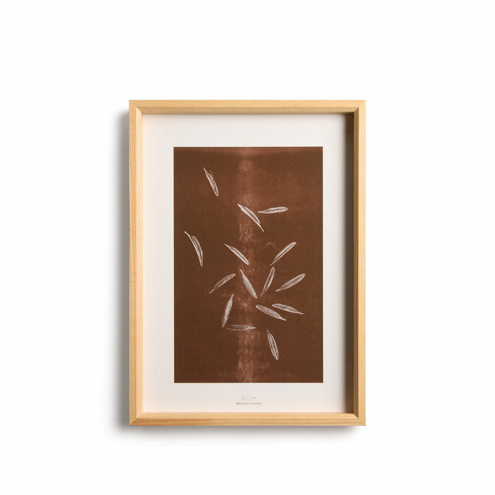 Origins No 2 Limited Print