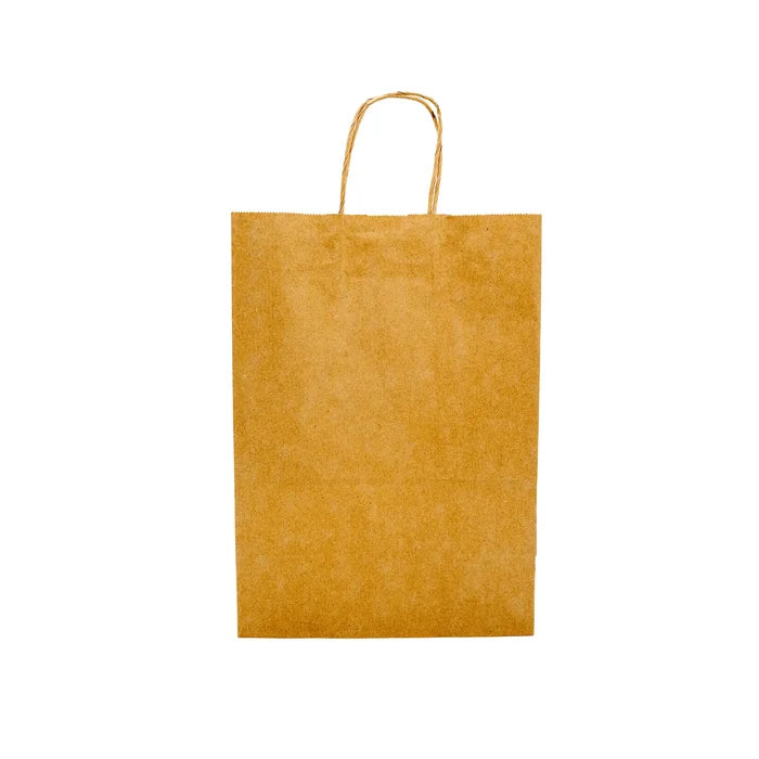 Paper Shopping Bag with Twisted Handles