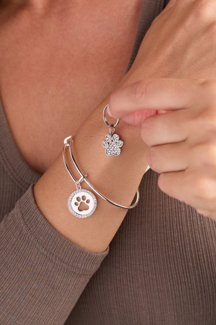 Paw Print Bangle & Pet Collar Charm Set of 2