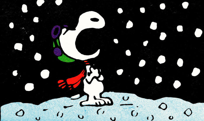 Peanuts Aaugh Poster