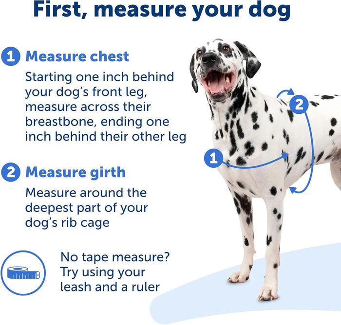 PetSafe Easy Walk NoPull Dog Harness MediumLarge RaspberryGray