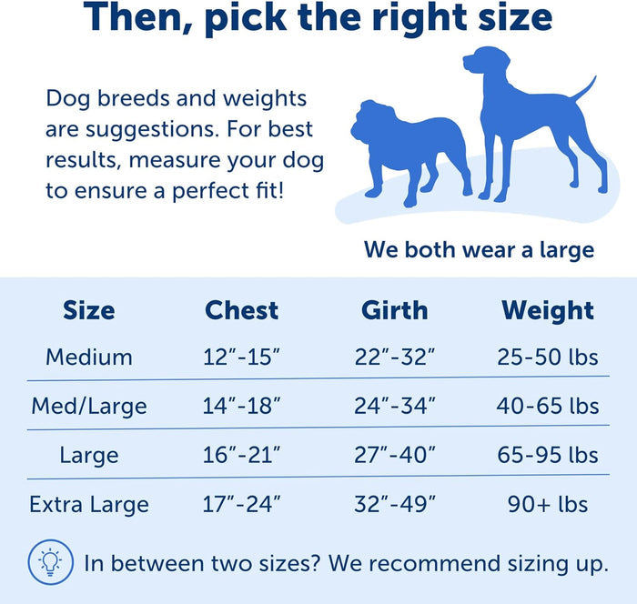 PetSafe Easy Walk NoPull Dog Harness MediumLarge RaspberryGray
