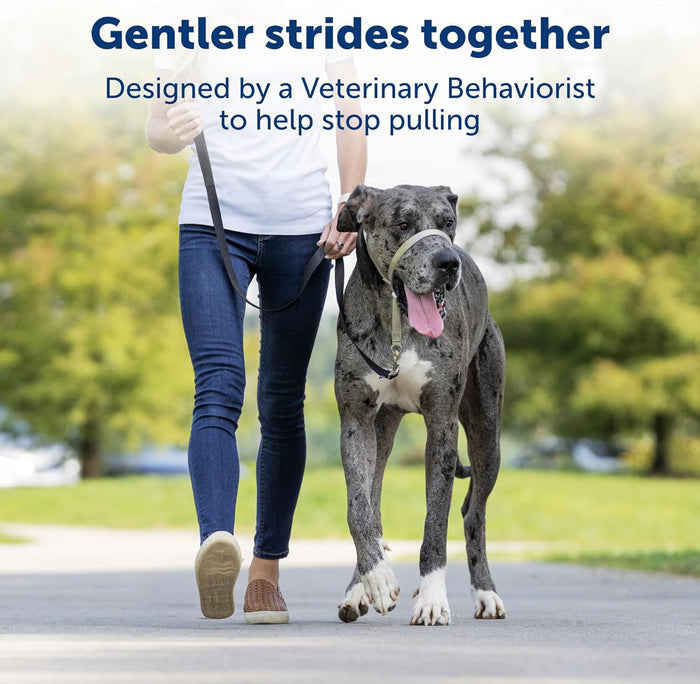 PetSafe Gentle Leader NoPull Dog Headcollar Large Silver