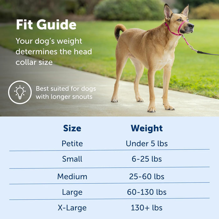 PetSafe Gentle Leader NoPull Dog Headcollar Large Silver