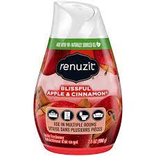 RENUZIT ADJUSTABLES AIR FRESHENER AFTER THE RAIN SOLID 7.5OZ - RAAFATRS75 Pie's Variety Store