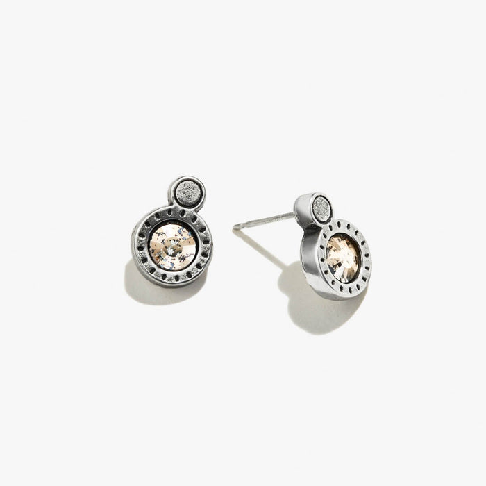 Shiny Antique Silver