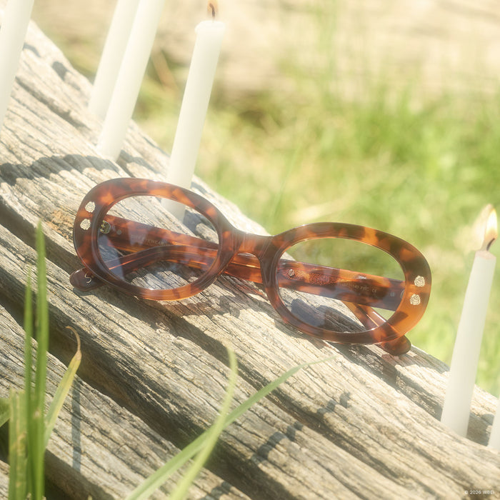 still life - diff eyewear x practical magic 2 sally oval sunglasses laying on a log in the woods
