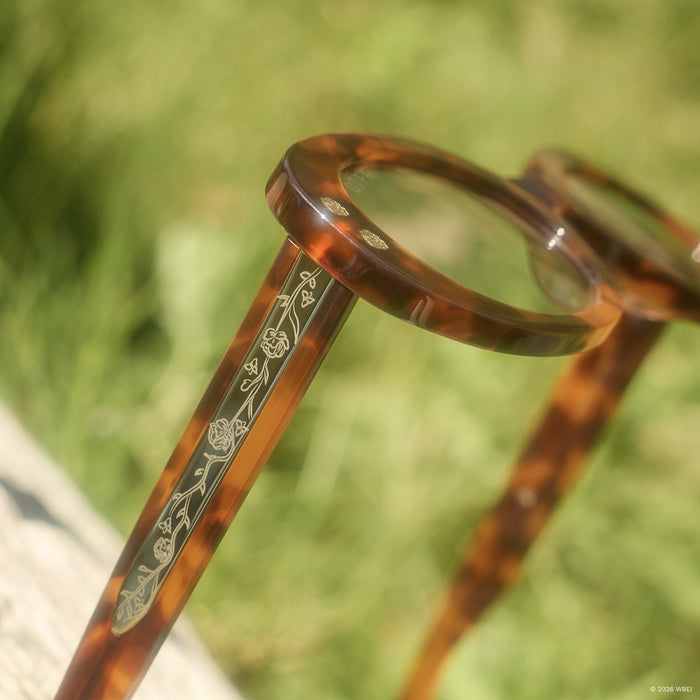 still life - diff eyewear x practical magic 2 sally oval sunglasses detailed temple view outdoors