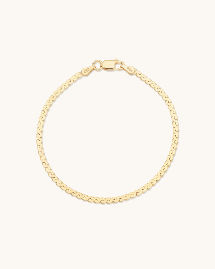 Serpentine Chain Bracelet