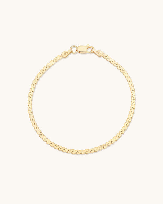 Serpentine Chain Bracelet