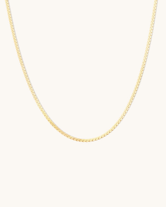 Serpentine Chain Necklace