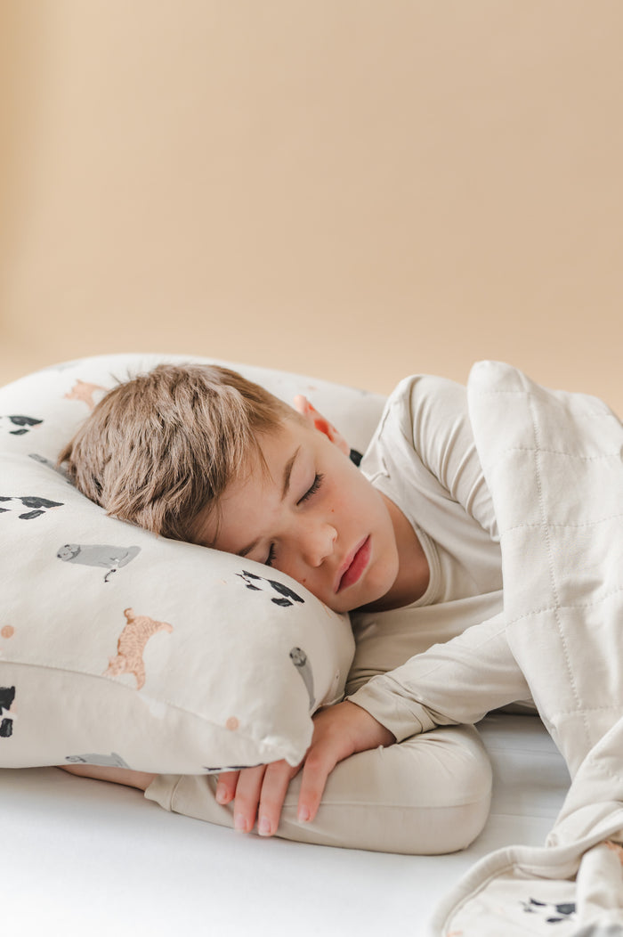 Child sleeping on a pillow with a soft, neutral background