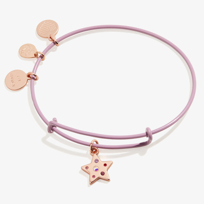 Shiny Rose Gold