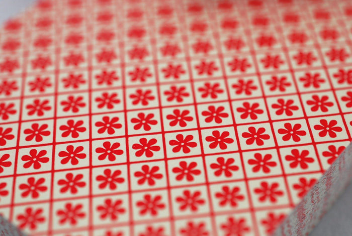 Steamboat 999 Playing Cards by Dan & Dave