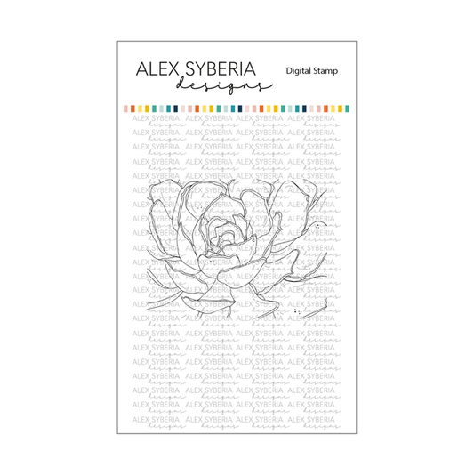 Succulent Close-Up Digital Stamp