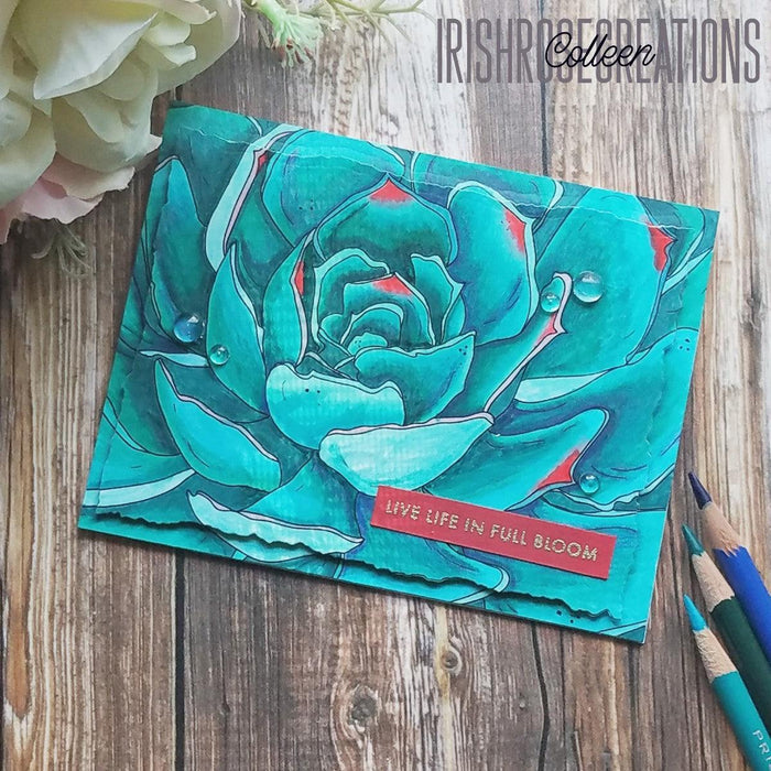 Succulent Close-Up Digital Stamp - Alex Syberia Designs
