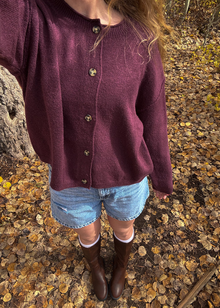 sun dazed denim shorts