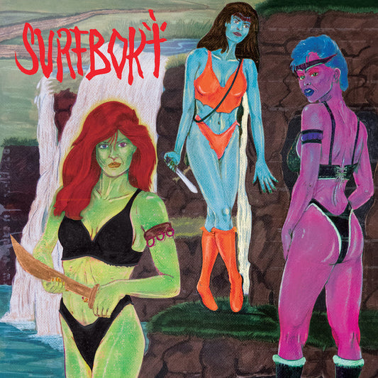 Surfbort - Surfbort Vinyl & Merch | Fat Possum Records