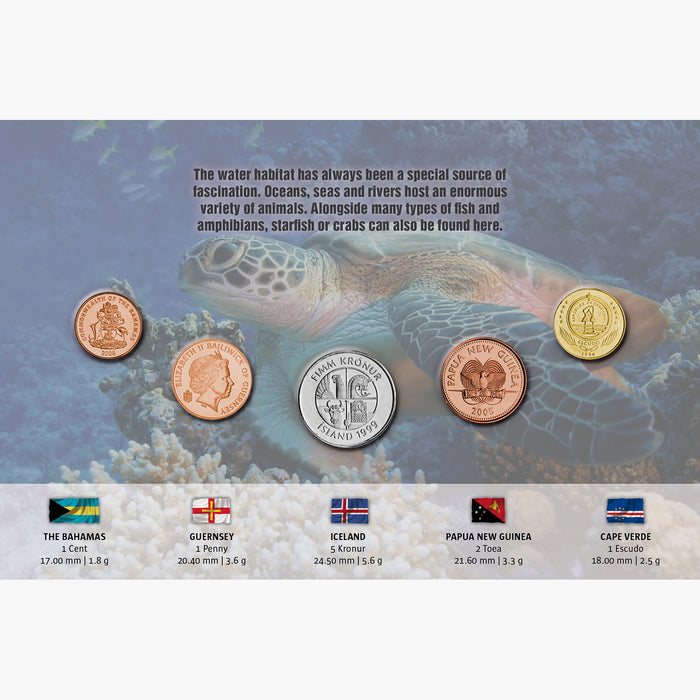 The Five - Sea Animals