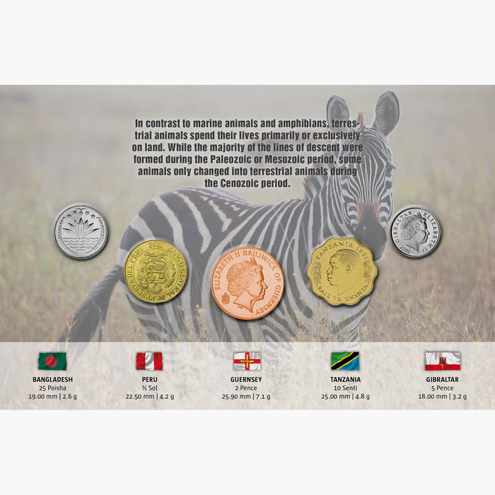 The Five - Terrestrial Animals