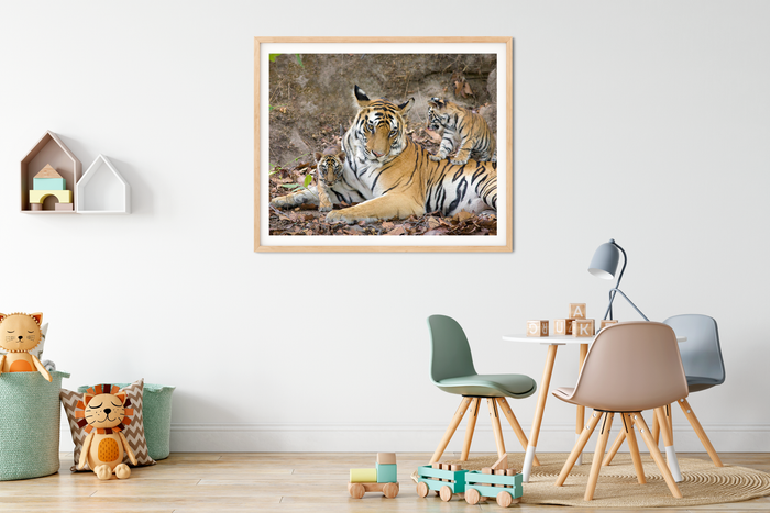 Tiger Mom and Cubs Photo