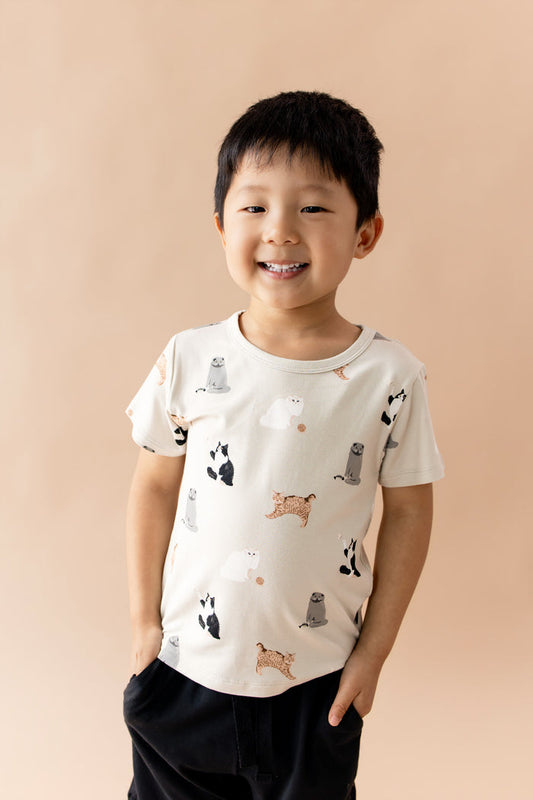 Smiling boy wearing the Toddler Basic Tee in Fluffy Cat with black shorts