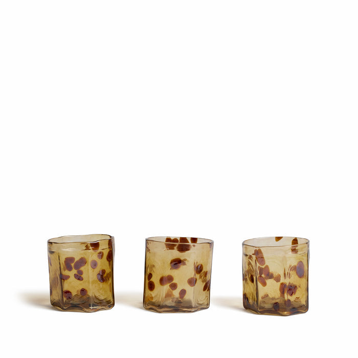 Tumbler in Taproot Tortoise Shell